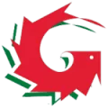 logo Garinni