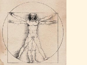 Devido a grande procura, OCA altera o horário das exposições de Leonardo da Vinci e Corpo Humano