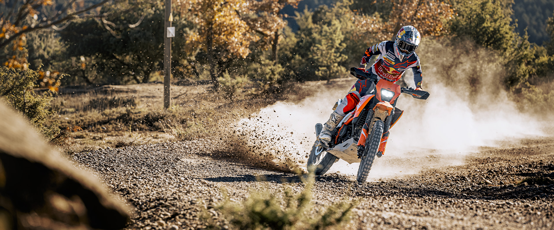Até 1390 cc: KTM pode trazer ao menos 5 modelos até 2027